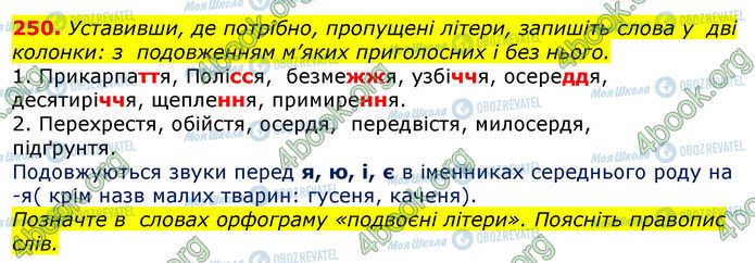 ГДЗ Українська мова 10 клас сторінка 250